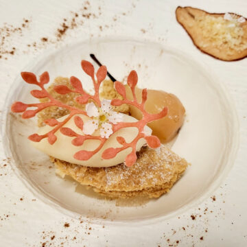 Chefs formadas pela Univali são destaque no Guia Michelin 2026