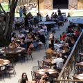 Fazenda Churrascada tem semana especial para os namorados