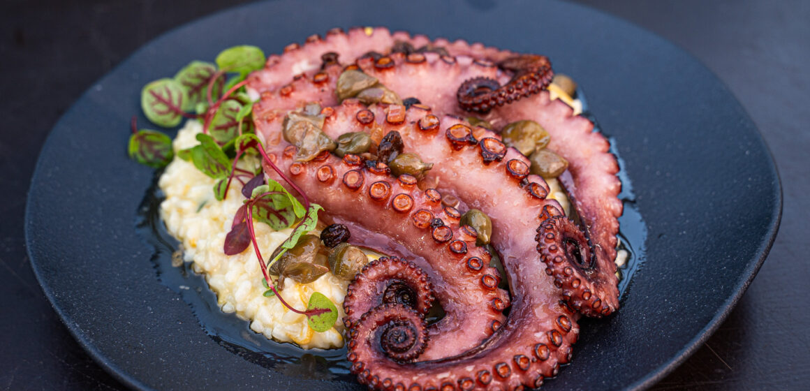 Dia dos Pais: Bistrô da Pousada Estaleiro Guest House reúne gastronomia autoral, natureza e menu especial em Balneário Camboriú Dia dos Pais: Bistrô da Pousada Estaleiro Guest House reúne gastronomia autoral, natureza e menu especial em Balneário Camboriú